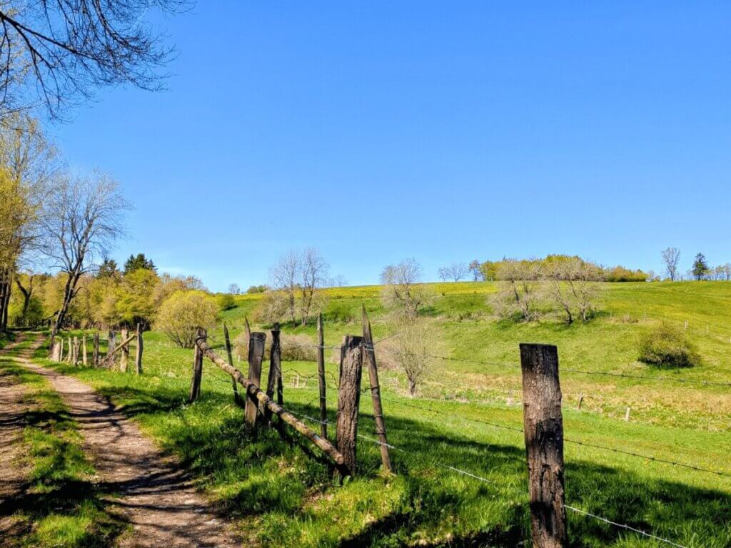 Weg entlang einer Wiese mit Zaun und Natur