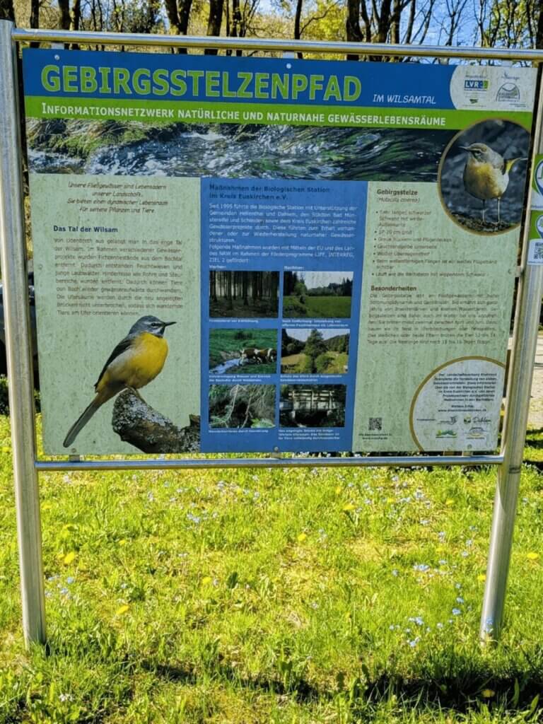 Infotafel zur Natur im Nationalpark Eifel