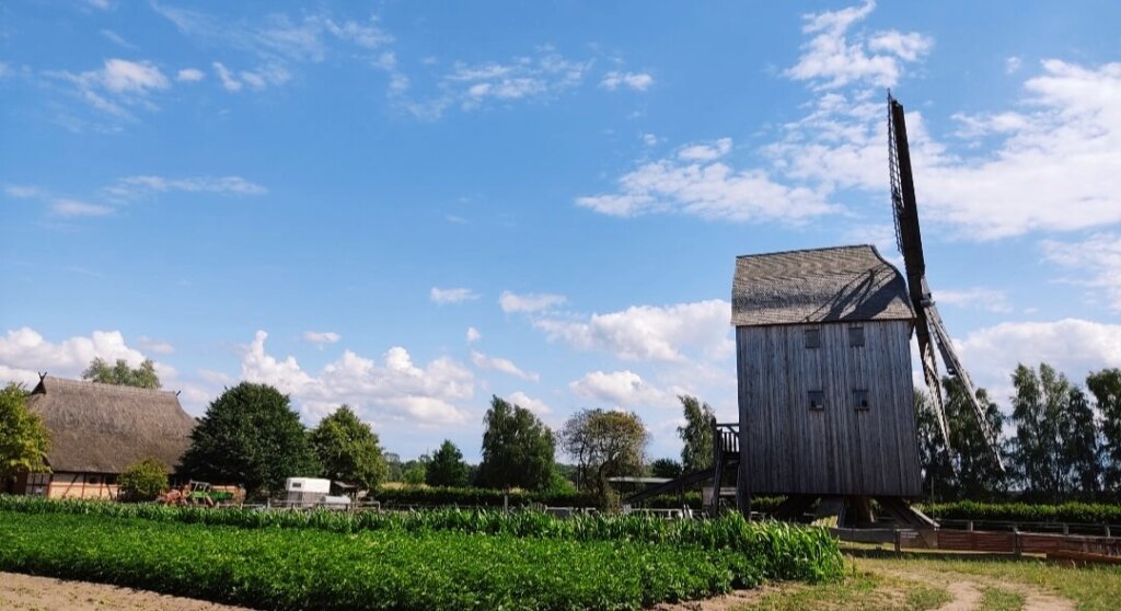 Bockwindmühle im Freilichtmuseum Klockenhagen.