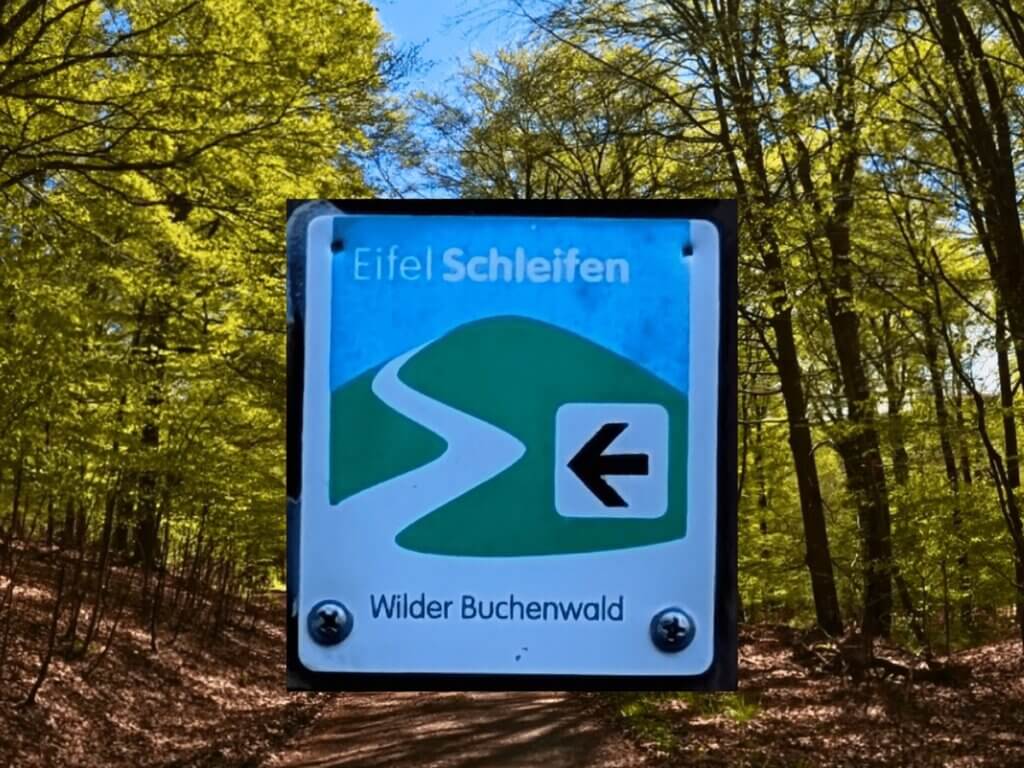 Schild Eifelschleife Wilder Buchenwald im Wald