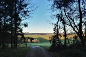 Ausblick bei der EifelSchleife Adlerblick in Hellenthal.