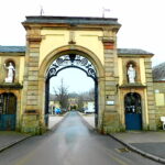 EifelSchleife “ Milchweg“
