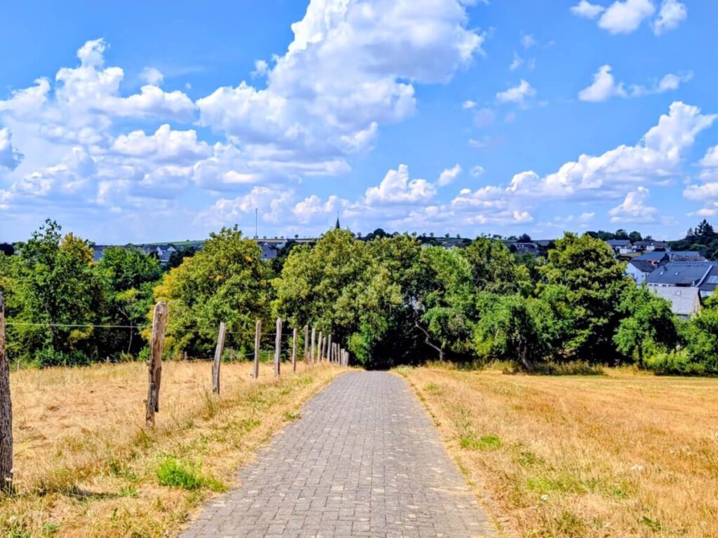 Mit dem Outdoor-Elektrorollstuhl auf einem asphaltierten Abschnitt des Wanderwegs bei Daleiden