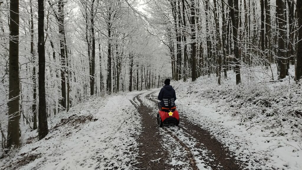 Mit dem Segway Rollstuhl durch den Winterwald im Nationalpark Eifel.