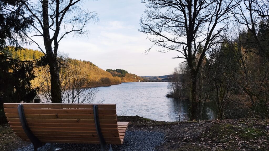 Ausblick während der EifelSchleife Oleftalsperre in Hellenthal.