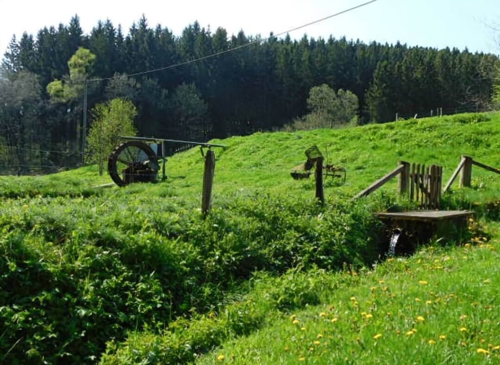 Wiesenlandschaft der EifelSchleife Eisvogelwanderweg bei Hellenthal