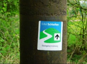 Read more about the article Eisvogelwanderweg