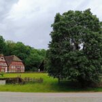 Das Bild zeigt eine ländliche Szene mit einem großen, üppig grünen Baum auf der rechten Seite, der den Vordergrund dominiert. Dahinter befindet sich ein traditionelles Fachwerkhaus mit sichtbaren Holzbalken und weißen Füllungen in den Wänden. Links vom Haus scheint es eine kleine Struktur oder einen Schuppen im ähnlichen architektonischen Stil zu geben. Ein Zaun verläuft entlang der Vorderseite des Grundstücks, und ein offenes Tor führt zu einem Weg oder einer Einfahrt, die aus dem Bild herausführt. Der Himmel ist bewölkt mit grauen Wolken, was auf ein trübes Wetter hinweist.