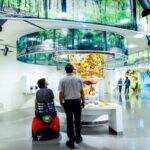 Ausstellung der Wildnisträume