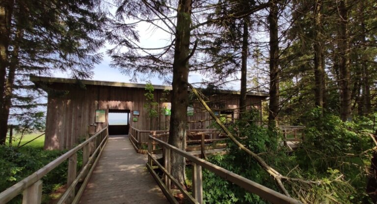 Die barrierefreie Rothirsch Aussichtsempore in Dreiborn im Nationalpark Eifel.