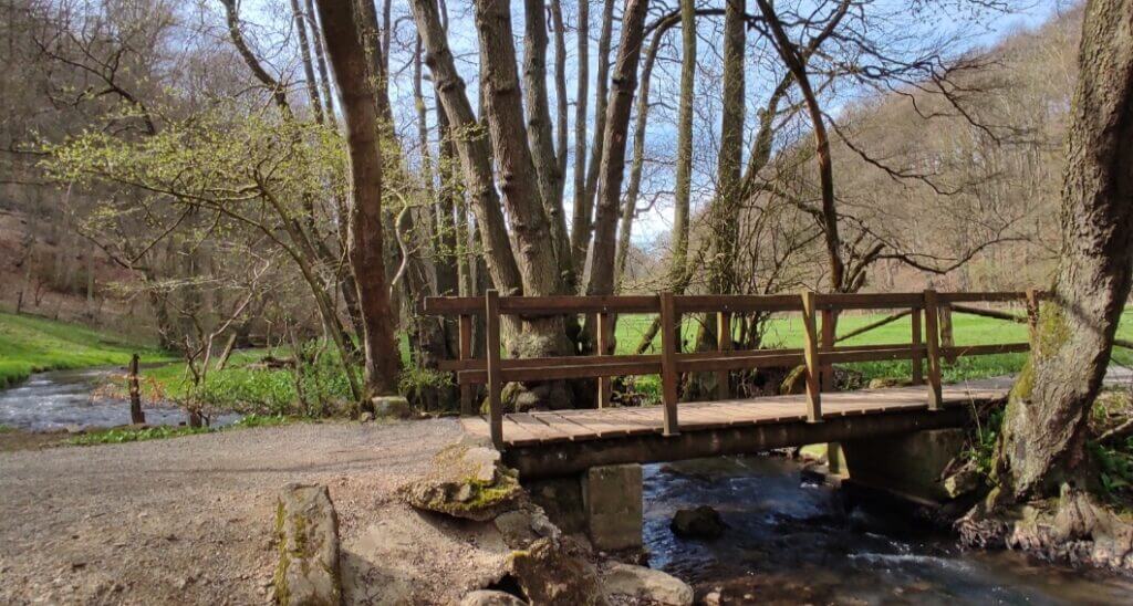 Der Gillesbach bei der EifelSchleife Küchenschellen in Wahlen.