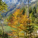 Herbststimmung am Hintersee im Berchtesgadener Land.