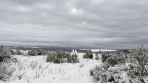 Frostiger Winter auf der Dreiborner Hochfläche.