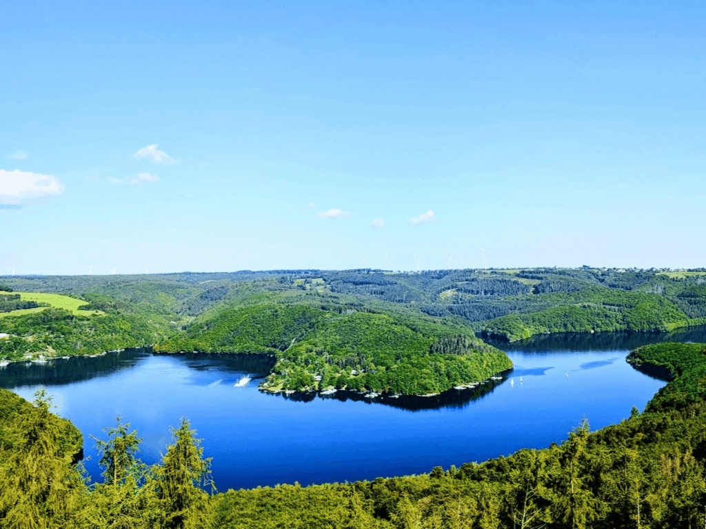 Weitblick über den Rursee und die bewaldete Landschaft im Nationalpark Eifel