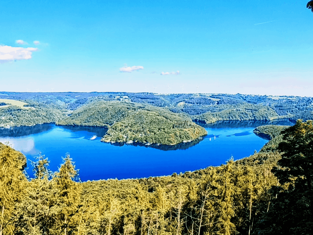Weitblick über den Rursee und die bewaldete Landschaft im Nationalpark Eifel