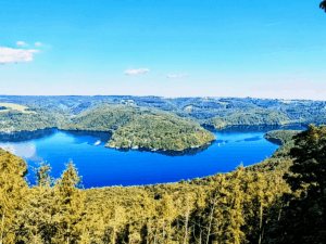 Weitblick über den Rursee und die bewaldete Landschaft im Nationalpark Eifel