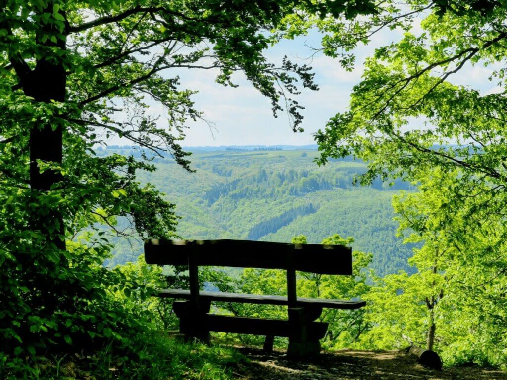 Sitzbank mit Blick über die Landschaft im Nationalpark Eifel