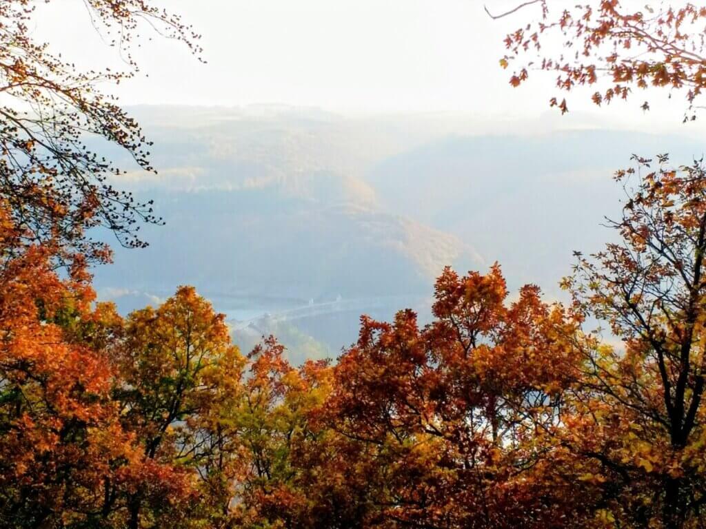 Herbstlicher Ausblick auf die Urfttalsperre im Nationalpark Eifel mit bunten Wäldern