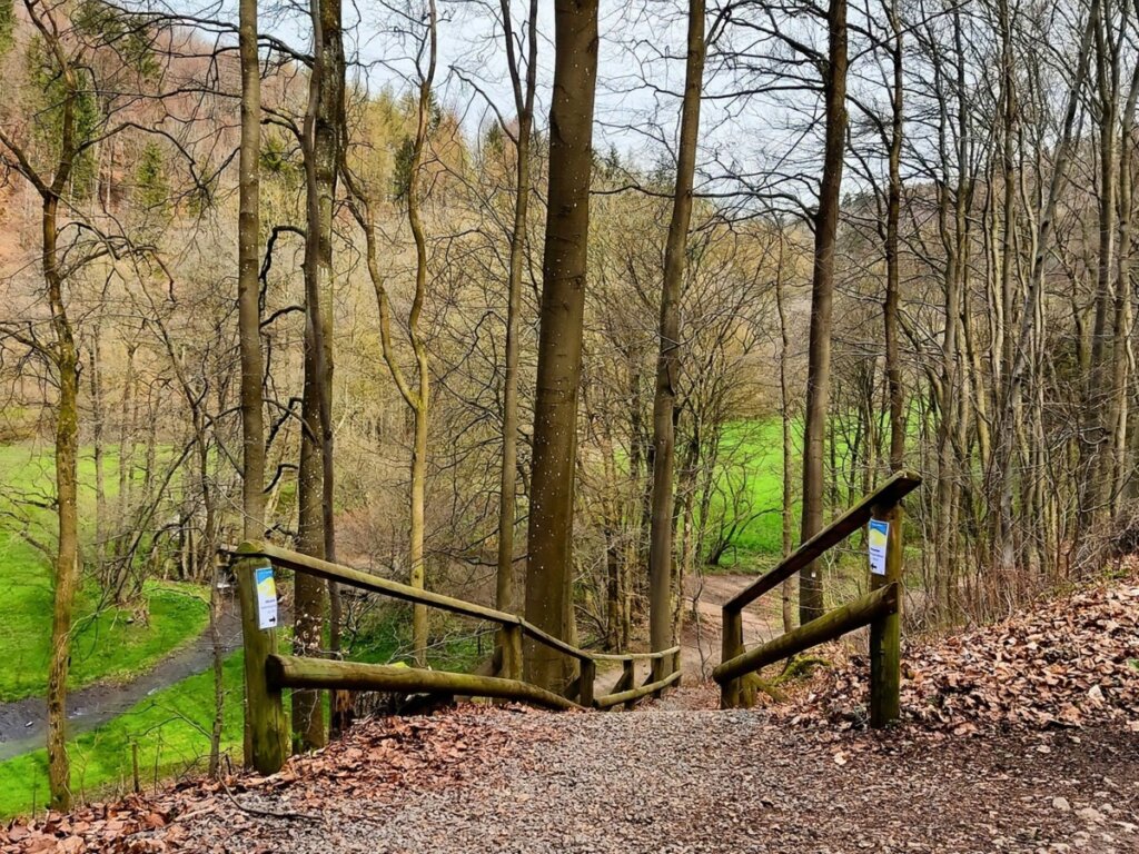 Treppenabgang entlang der EifelSchleife Küchenschellen
