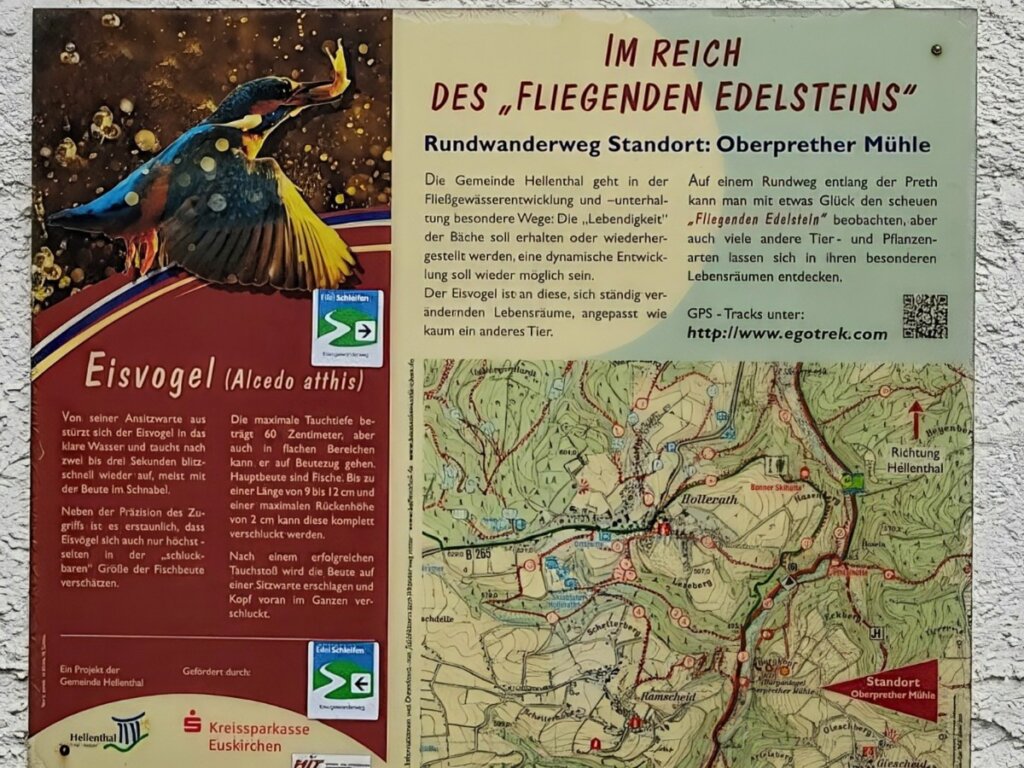 Infotafel der EifelSchleife Eisvogelwanderweg an der Oberprether Mühle