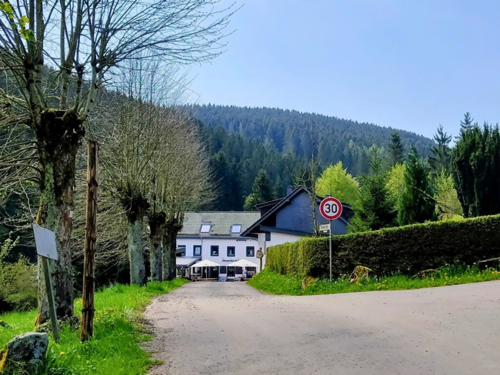 Aussicht entlang der EifelSchleife Eisvogelwanderweg bei Hellenthal