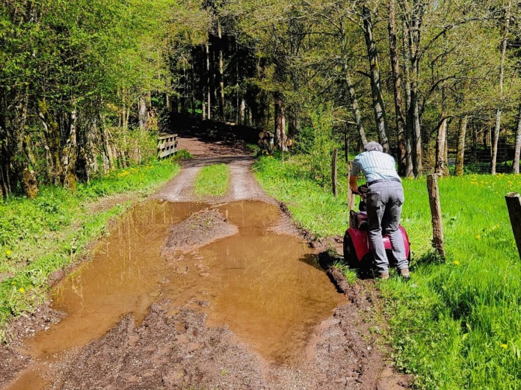 Matschpfützen am Waldweg der EifelSchleife Eisvogelwanderweg