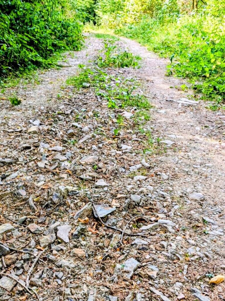 Geschotterte Passage mit Steigung auf Wanderweg Nr. 03 im Mühlenbachtal bei Daleiden