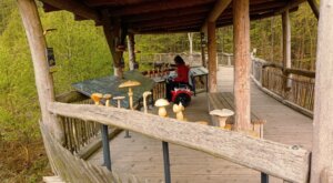 Rollstuhlgerechte Infoplattform auf dem Holzsteg im Nationalpark Eifel.