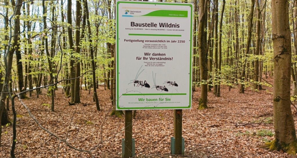 Baustelle Wildnis im Nationalpark Eifel