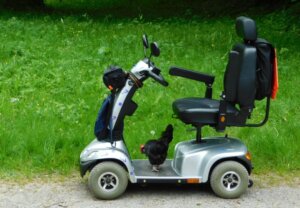 Ein silberner Mobilitätsscooter mit schwarzen Akzenten steht auf einem Weg, der von Gras umgeben ist.Mit auf dem Scooter sitzt ein schwarzes Huhn. Der Scooter hat einen Sitz, eine Rückenlehne, zwei Armlehnen, ein Bedienfeld vorne und vier Räder. Er ist für Personen gedacht, die Unterstützung bei der Mobilität benötigen.”