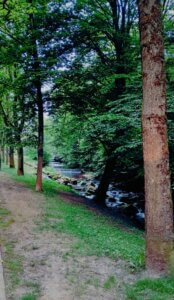 Ein ruhiger Naturpfad verläuft entlang eines kleinen Baches. Der Weg ist von üppigem grünen Gras und hohen Bäumen mit dicken Stämmen gesäumt, was auf ein bewaldetes Gebiet hinweist. Im Bach sind sichtbare Steine, die den Wasserfluss unterbrechen und kleine Wellen erzeugen. Diese Umgebung könnte für diejenigen interessant sein, die Outdoor-Szenen, natürliche Landschaften oder friedliche Umgebungen schätzen.