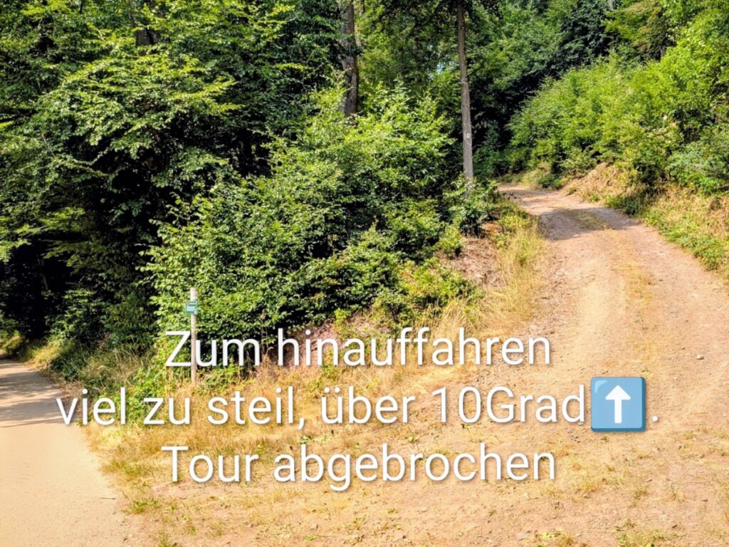 Steiler Schotterweg auf der Tour Ammeldingen Plascheid mit Rollstuhl
